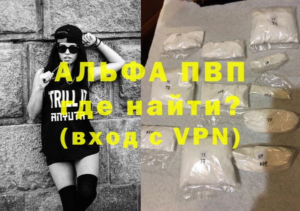 ГАЛЛЮЦИНОГЕННЫЕ ГРИБЫ Заволжье