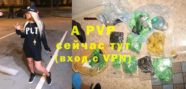 ГАЛЛЮЦИНОГЕННЫЕ ГРИБЫ Заволжье