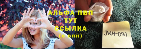 ГАЛЛЮЦИНОГЕННЫЕ ГРИБЫ Заволжье