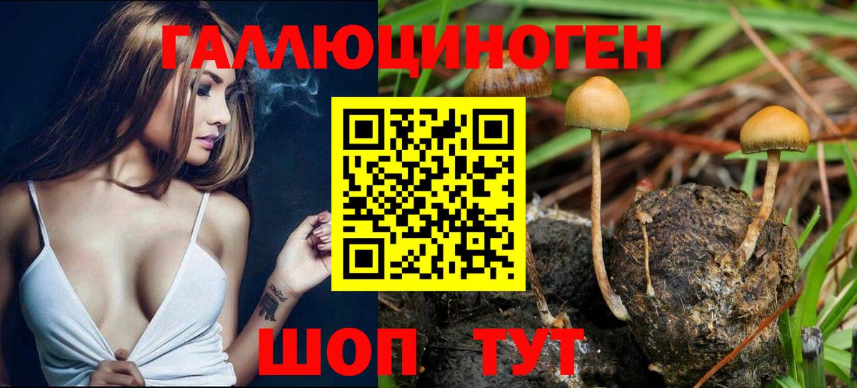 Галлюциногенные грибы MAGIC MUSHROOMS Карталы