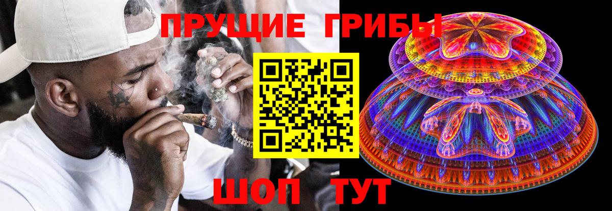 купить наркотик  Вход с VPN  Карталы  Псилоцибиновые грибы мицелий 